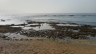 GC-Paseo Las Canteras (Las Palmas) 2026-097.jpg